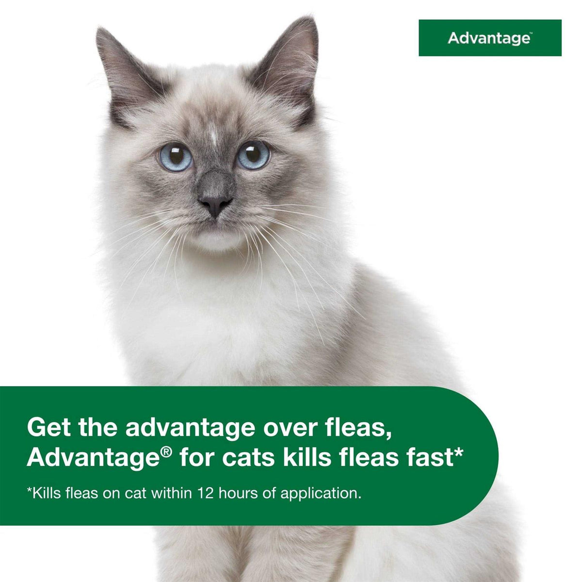 Topical Flea Prevention for Small Cats E2903
