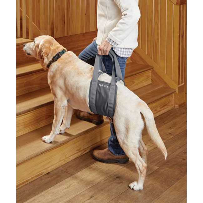Gray Rear Dog Lift V15795