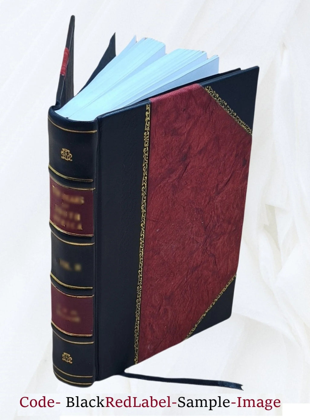 Leather Bound Book Z468