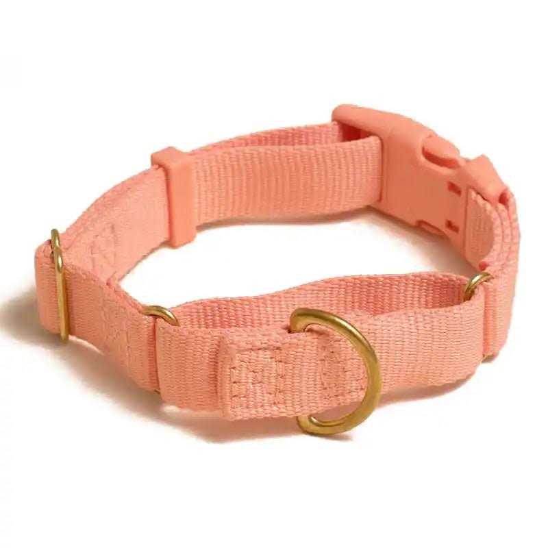 Martingale Dog Collar Q860