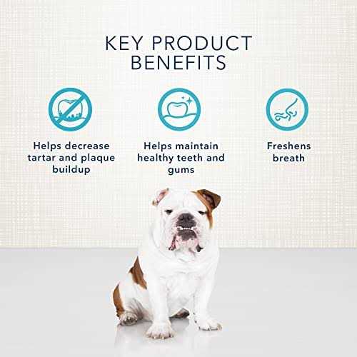Dental Bones Dog Treats Y58774